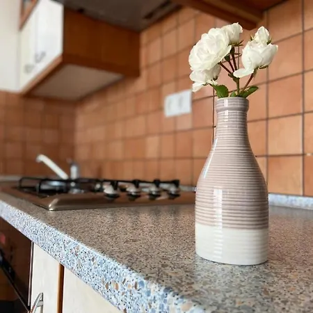 Zare Apartment